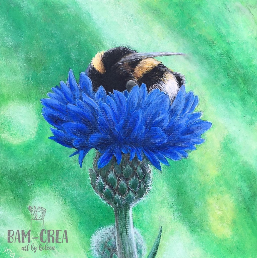 5apr-28jun‘25 Museum Elburg Expo “Insecten”